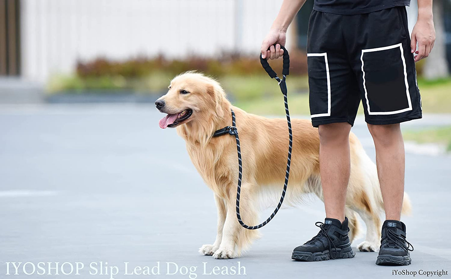 Durable Slip Lead Dog Leash with Padded Handle and Highly Reflective Threads, No Pull Dog Training Leash, (1/2" X 6 FT, Black)